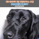 한경면사무소 이미지