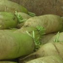 홍보농장 이미지