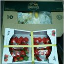 제주특별자치도장애인부모회 이미지