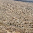 감천제방 이미지