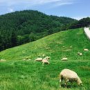 서연아이여성의원 이미지