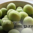 매실(maesil) 이미지
