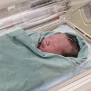 아름세탁 | [구로/신도림] 조기 양막 파열로 아름제일병원에서 응급 제왕한 후기