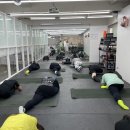 도도핏