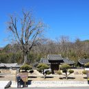 어계고택 이미지