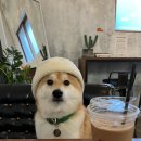 완전농장 이미지