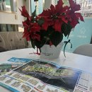 롯데김소장부동산중개 | [대연힐스테이트푸르지오 혁신굿모닝부동산김소장의 일상]