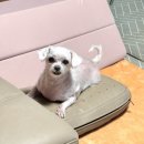 3# 좋은 마음을 많이 받은 한 주