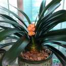 유인목장 이미지