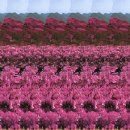 매직아이 PC방 이미지