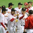 전원건재