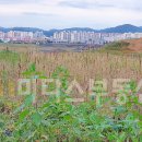용당공인중개사사무소 이미지