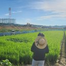 파주광탄경기-파주-광탄4 이미지