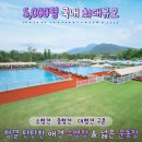넓고 쾌적한 애견동반수영장 도그스포지움 내돈내산 후기 (대형견도 환영)