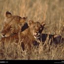 건물주공인중개사사무소 이미지