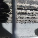 광양금호타이어 이미지