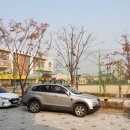 양청초등학교 병설유치원 이미지