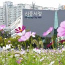 흥부네 - 홍성군 홍장북로441번길 25-12 | 흥부네