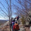 Wyanokie High Point, Norvin Green State Forest (03/14/20)-II 이미지