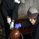 마님의부엌