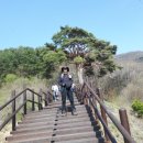 산내면 반선마을 이미지