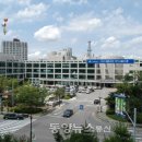 금오로 동양뉴스