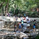 서울대공원 캠핑장 이미지