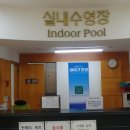 청풍리조트수영장 이미지