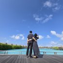 오션컴퍼스 이미지