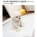 인성 이미지