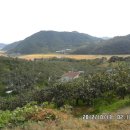 명인농장 이미지