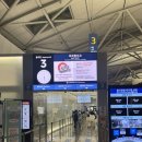 열병의 방 | [260403]이스타 ZE881/쥐훠궈/타이베이 B7 호텔/덴쉐이러우/린장제 야시장