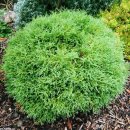 블루엔젤 하우스 이미지