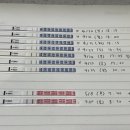 못참고 배란 17일차, 임신 4주 5일차에 병원 다녀온 후기 (부제: 아기집 0.29cm면 눈에 보이긴 하는건가)