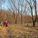 돌속농장 이미지