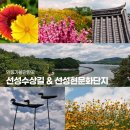 안동 선성수상길 선성현문화단지 산성공원 안동가볼만한곳 [출처] 안동 선성수상길 선성현문화단지 산성공원 안동가볼만한곳|작성자 윤디 이미지