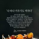 11월12일 금요일 아침의편지. 이미지