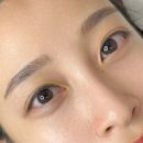 4393 | 대전 탄방동속눈썹 LED연장 후기 데이아이