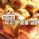 무지개푸드 이미지