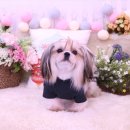 꾸니꾸니 이미지