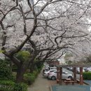 다운현대아파트 놀이터 이미지