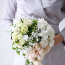 인터디자인 이미지