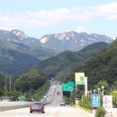 소야 솔밭 이미지