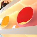 바우애견 이미지