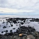 북촌환해장성 이미지