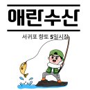 애란수산
