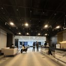 다시봄날의원 가정청라점 | 네트워크X멀츠] 2024 콜라겐부스터 연구회, 연구하고 노력하는 다시봄날의원, "오늘이 당신의 봄날입니다"