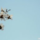 강현면사무소 이미지