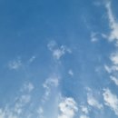 그늘막129 이미지