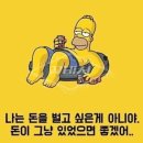 성샤인 이미지